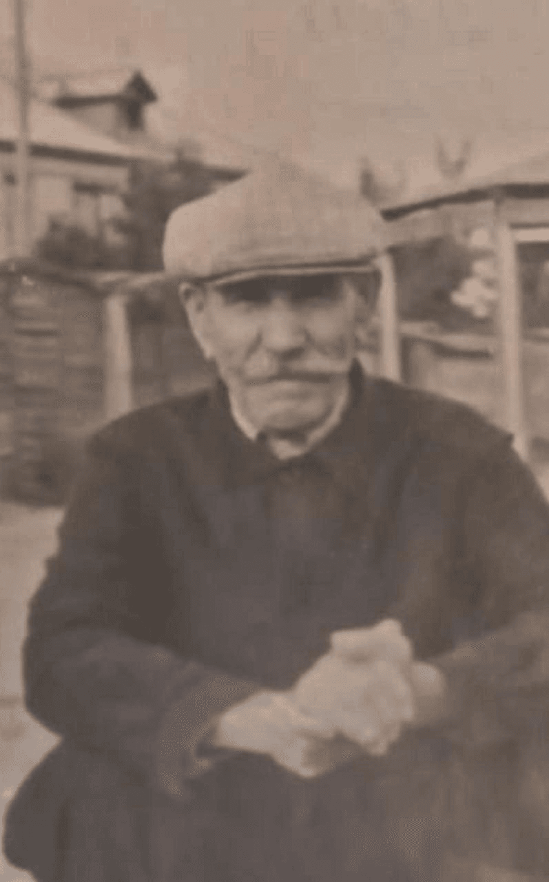 Мудрость Взгляда: Портрет, Оживший в Цвете