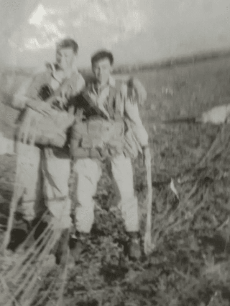 Небесное Братство: Возрождение Героев в Цвете