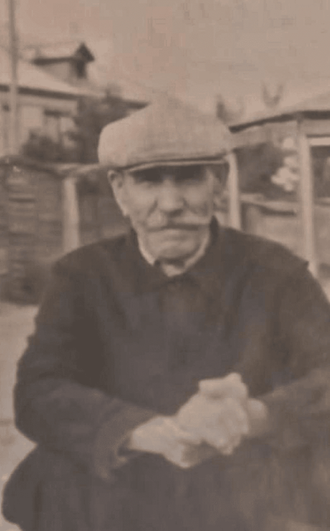 Мудрость Взгляда: Портрет, Оживший в Цвете